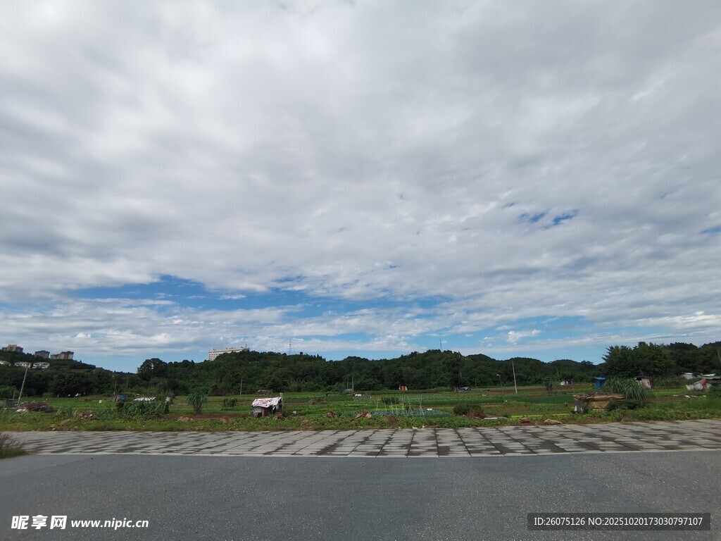 开阔公路旁的自然风景