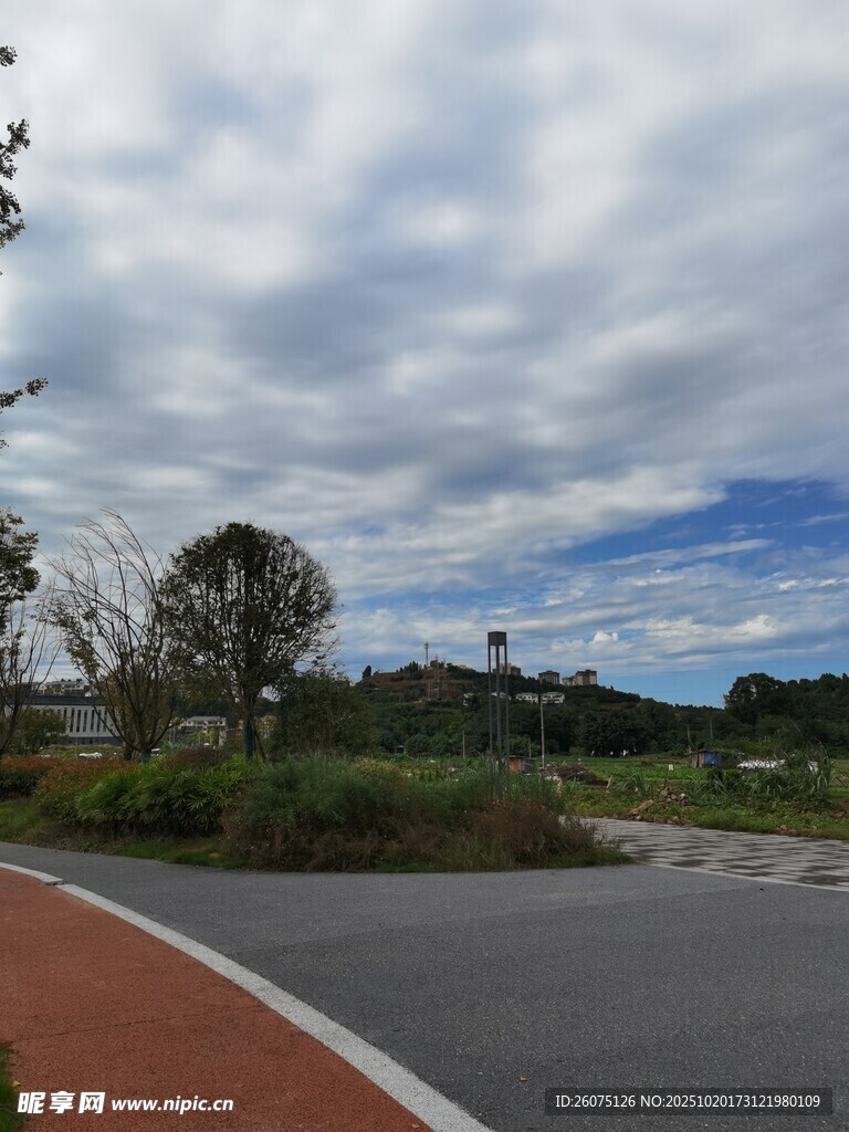 公园中的蜿蜒道路与绿植