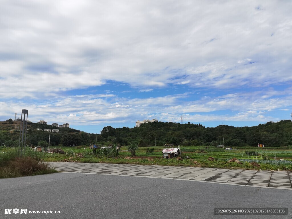 空旷道路旁的绿野蓝天