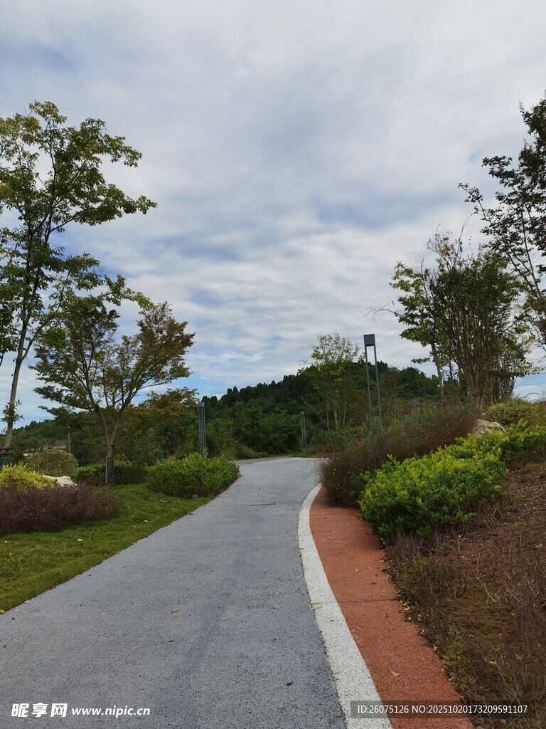 蜿蜒小路旁的绿植与天空