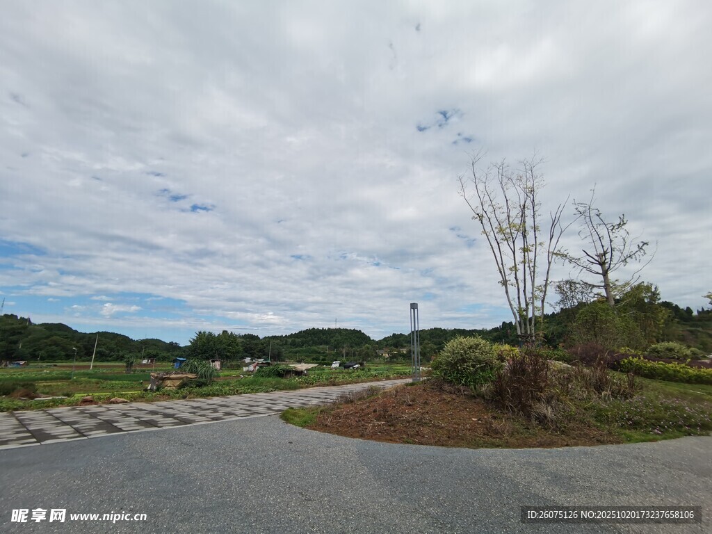 乡村开阔道路风景
