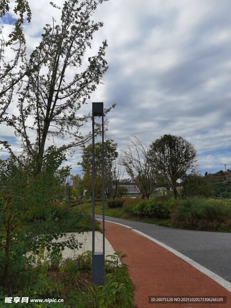 公园中的林荫步道景观