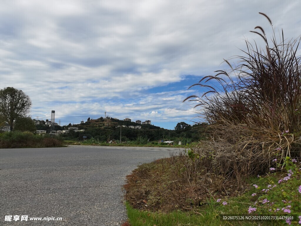 蜿蜒道路旁的自然景致