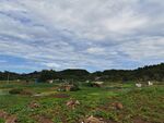 田园风光绿意盎然的田野