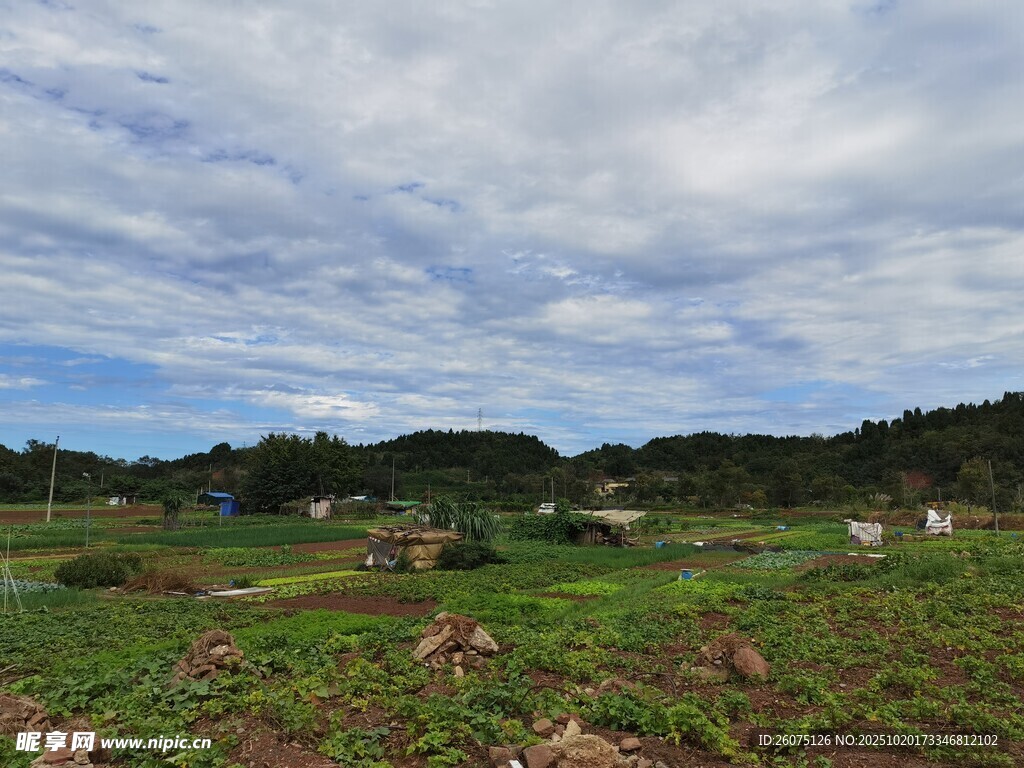 田园风光绿意盎然的田野