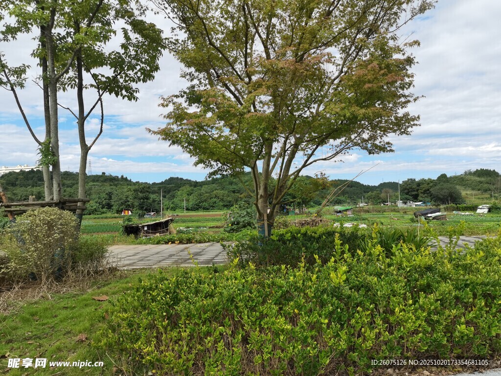 乡村田野间的宁静景致