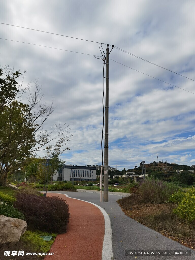 蜿蜒小路旁的自然景致