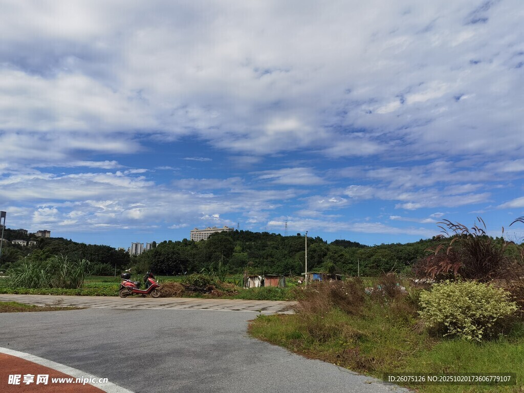 乡村公路边的自然风光