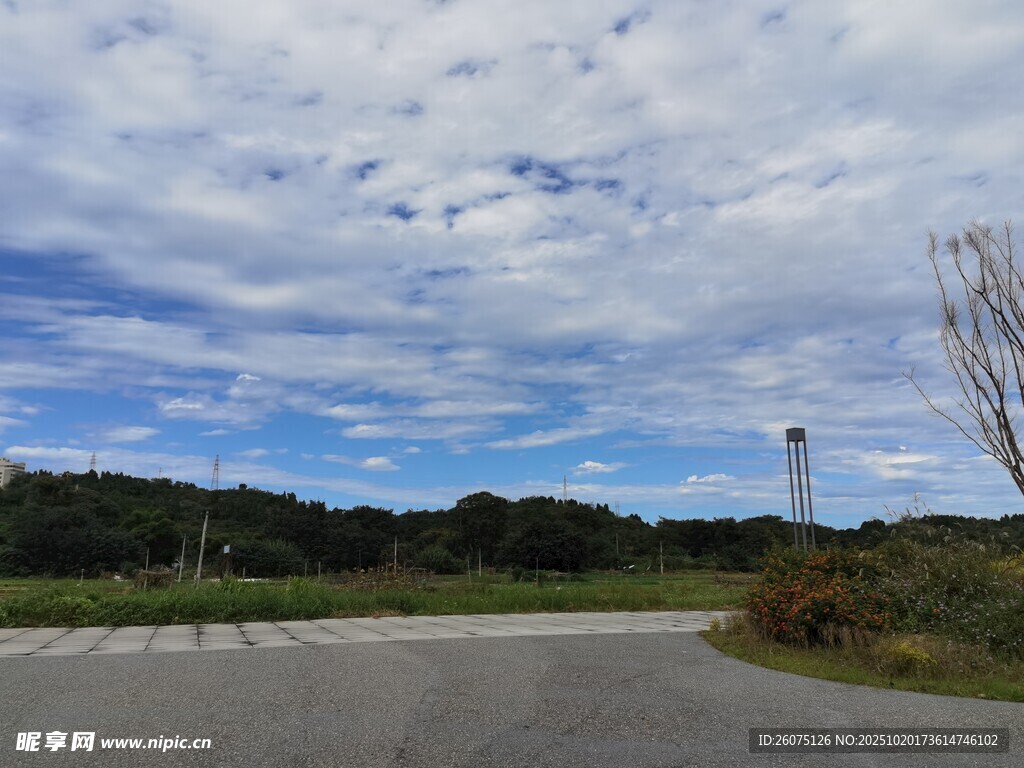 蜿蜒公路旁的远方灯塔