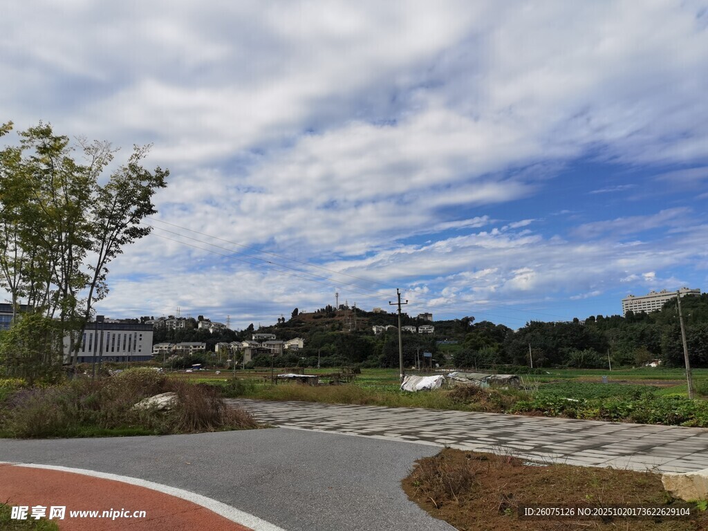 户外清新道路风景