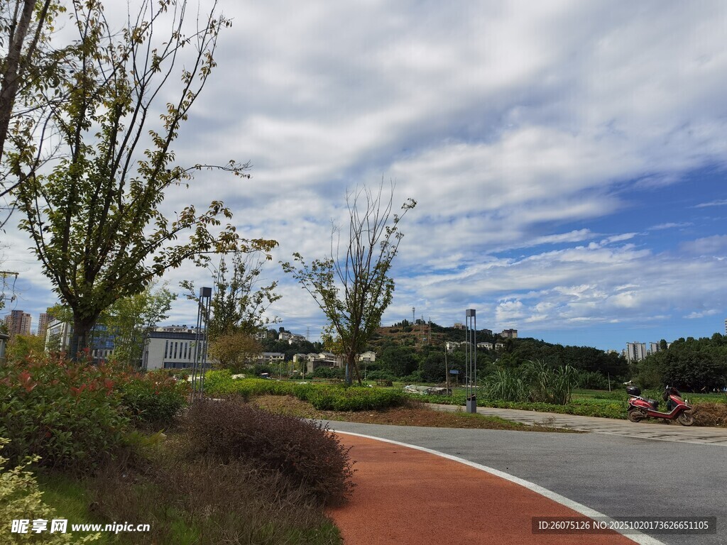 城市中美丽的户外道路景观