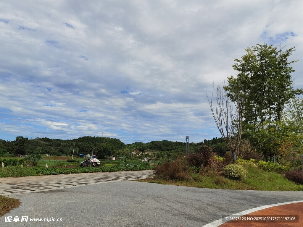 乡村公路旁的自然景致