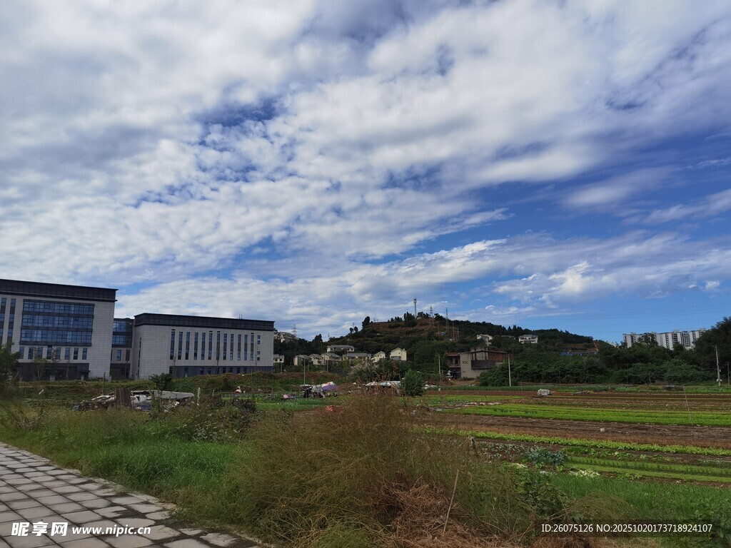 户外开阔场地与建筑景观