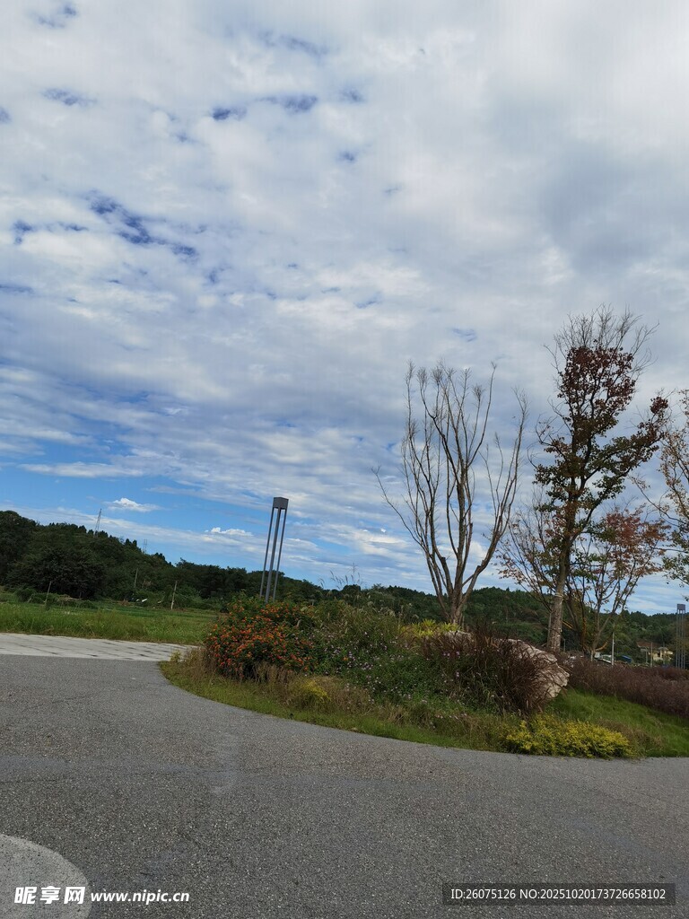 蜿蜒公路旁的自然景致