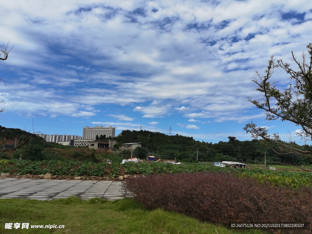 蓝天白云下的美丽户外风景