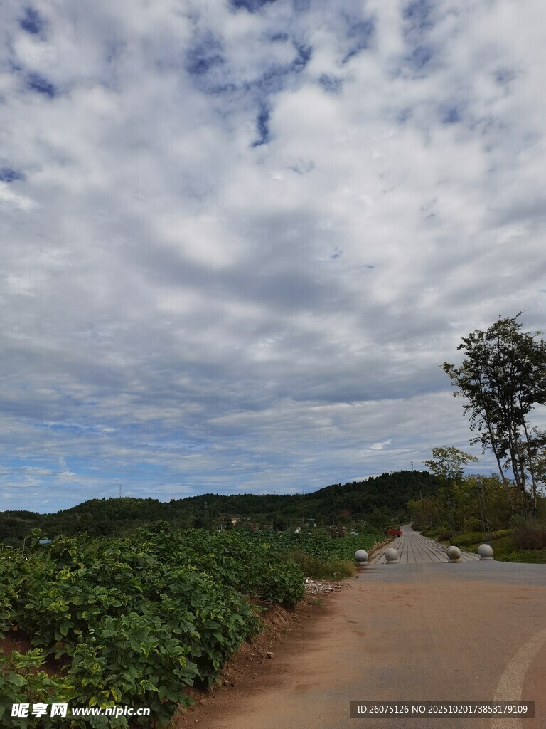 山间公路旁的绿意与蓝天