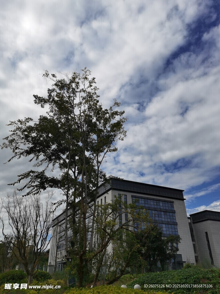 蓝天白云下的建筑与树木