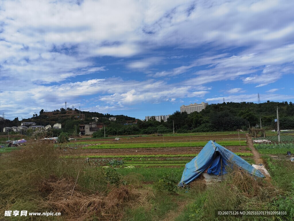 田野中的蓝色帐篷