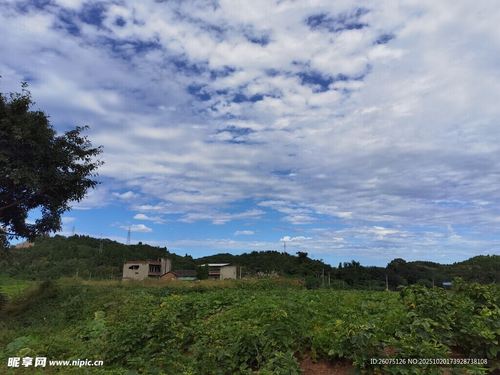 田园风光中的宁静小屋