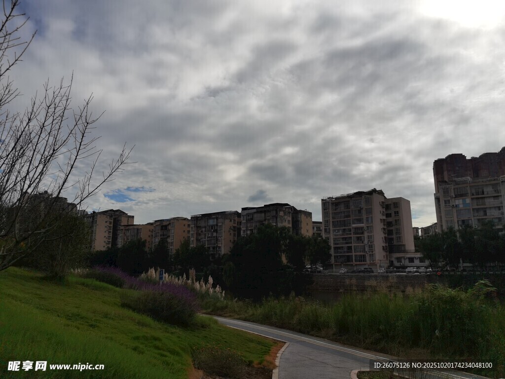 城郊住宅区的自然景致