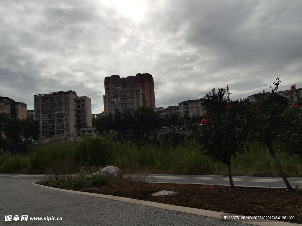阴天城市建筑与绿植景观
