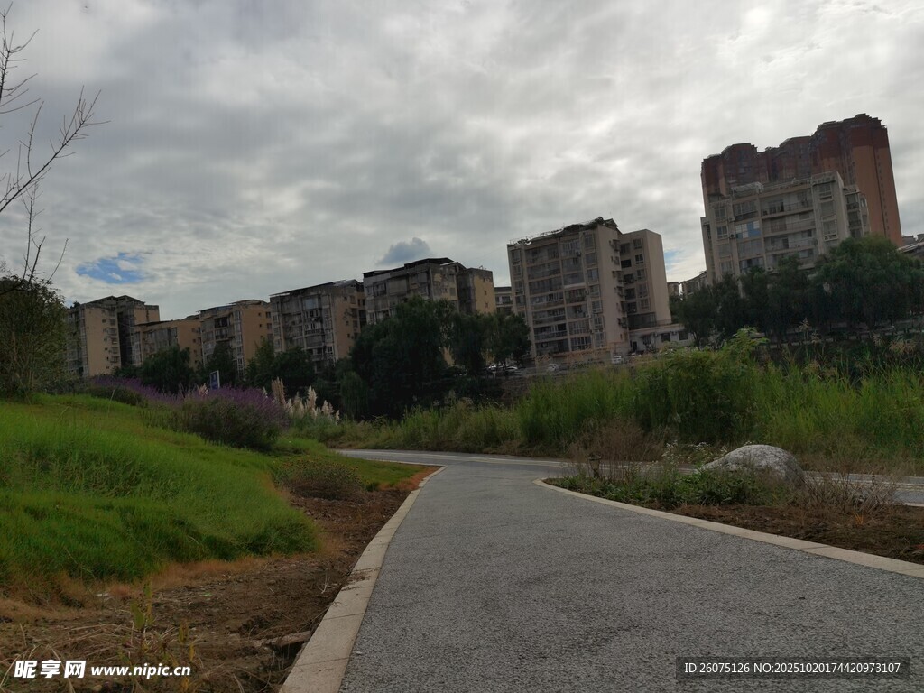 城郊小路旁的居民楼景观