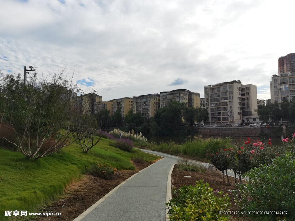 城市中的蜿蜒小路与建筑
