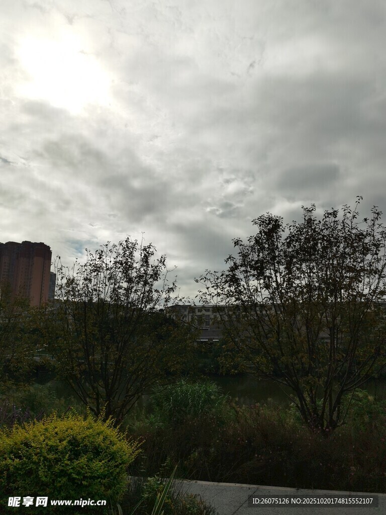 阴天的户外绿植与建筑景观