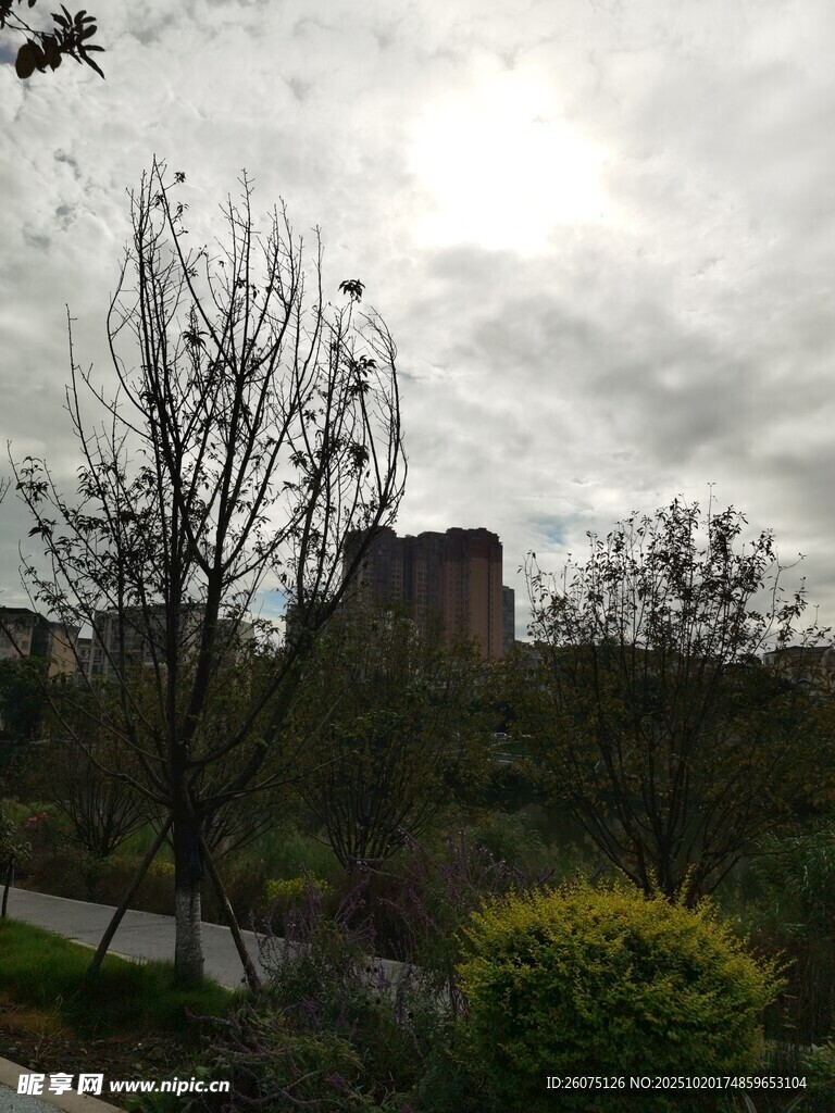 阴天中的户外自然景致