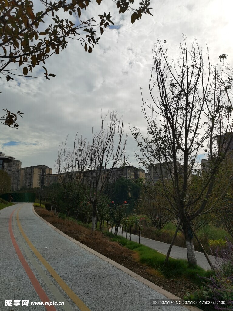 城郊小路风景