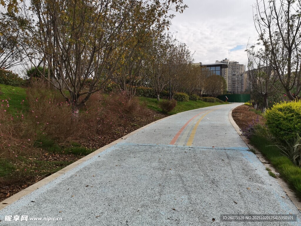 郊外蜿蜒小路风景