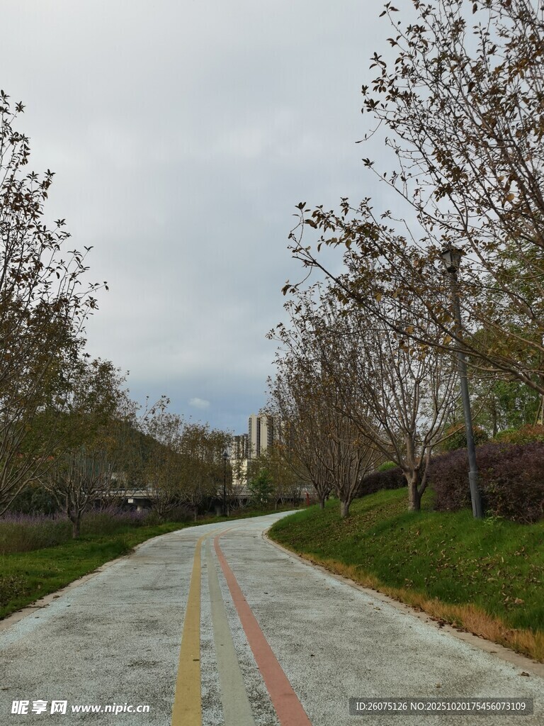 乡村空旷道路风景