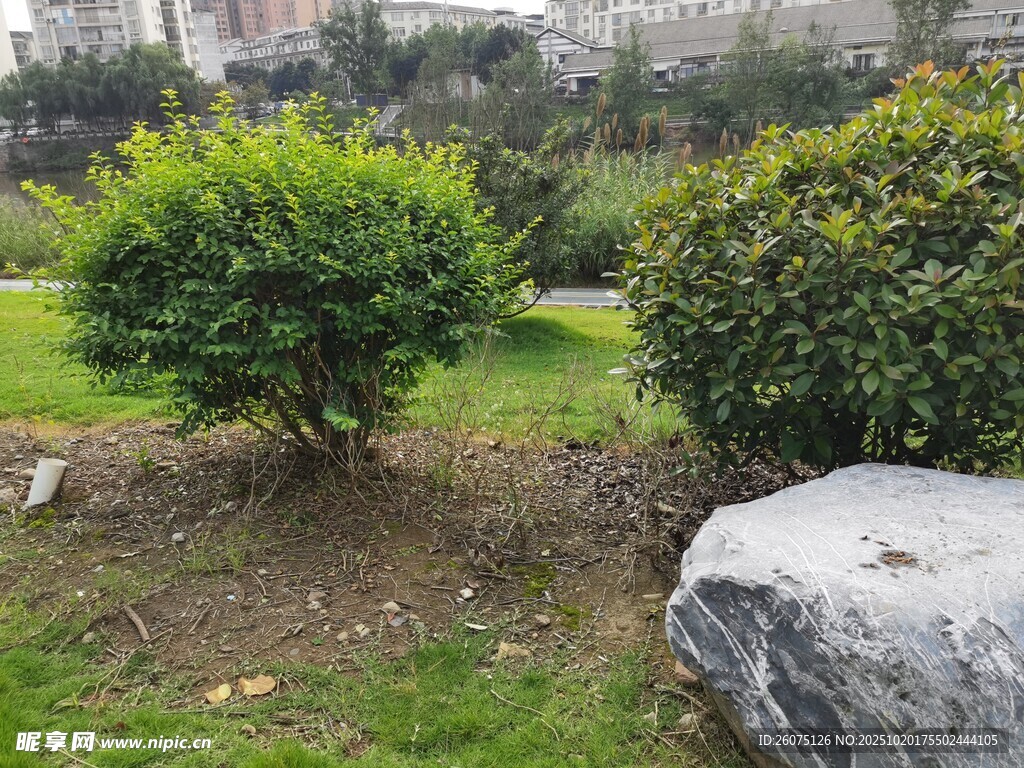 园林绿植与石景景观