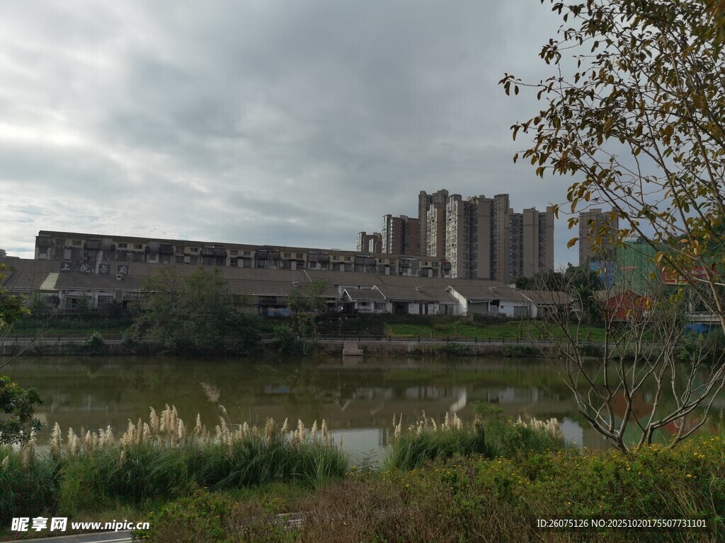 城郊湿地旁的建筑群