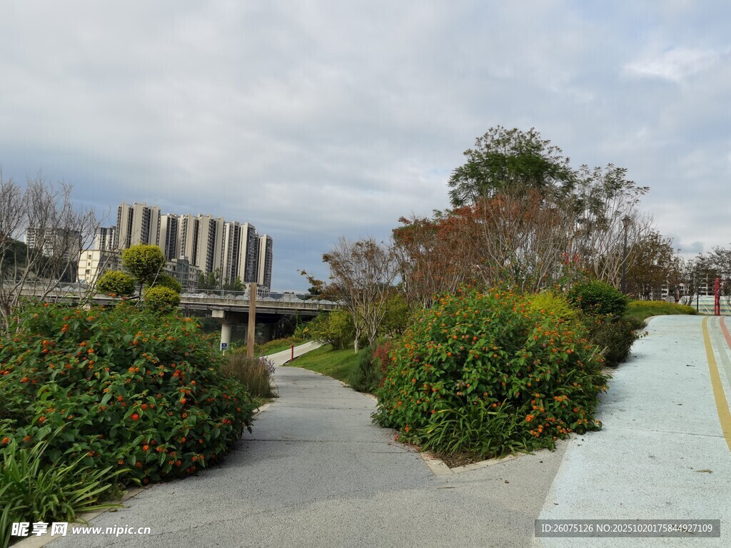 城市公园景观步道