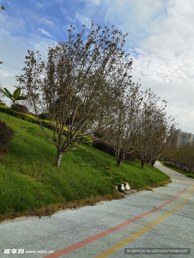 乡村彩色公路风光