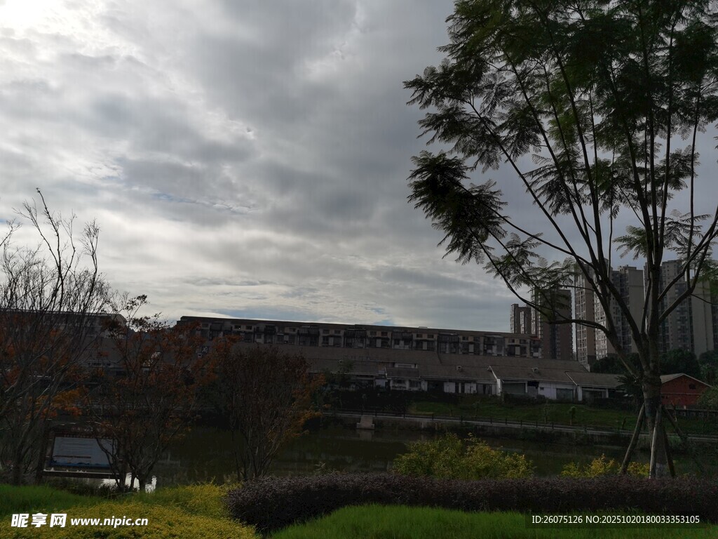 阴天城市景观与绿植