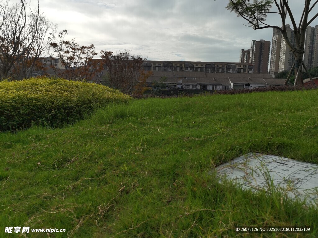 户外草地与远处建筑景观
