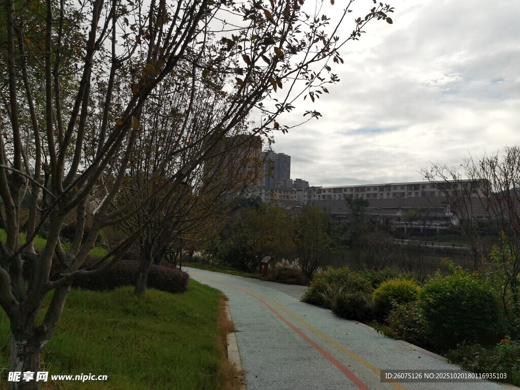 春日林间小径风景