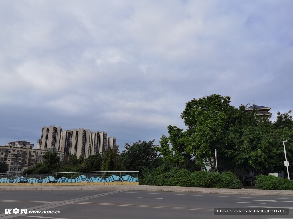 城市道路旁的绿树与建筑