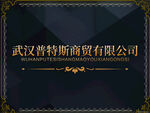 武汉普特斯商贸公司展示