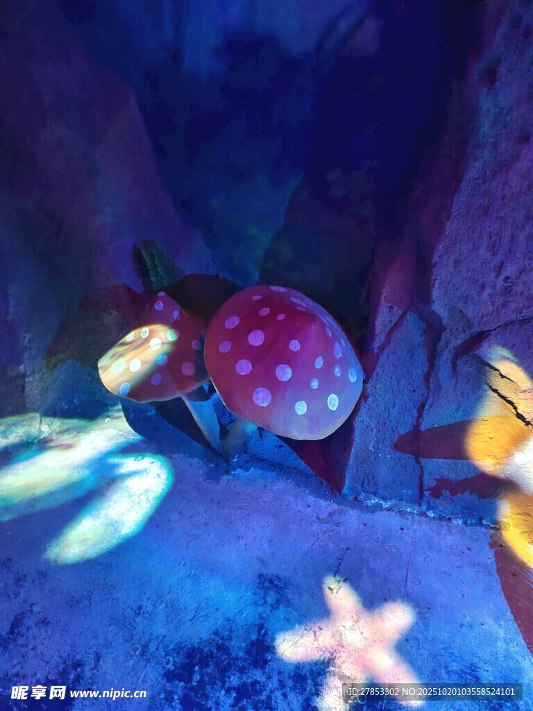海底奇幻蘑菇与海星景观