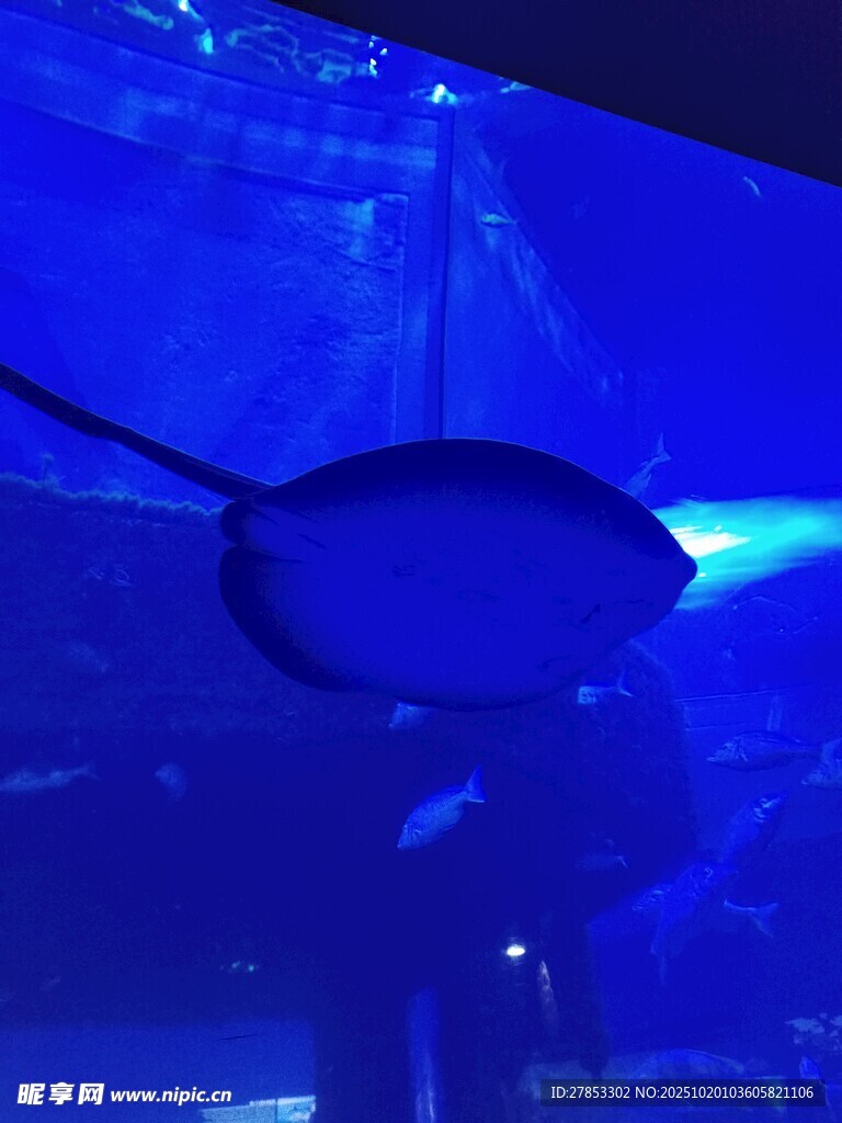 水族馆中的圆形透明装置