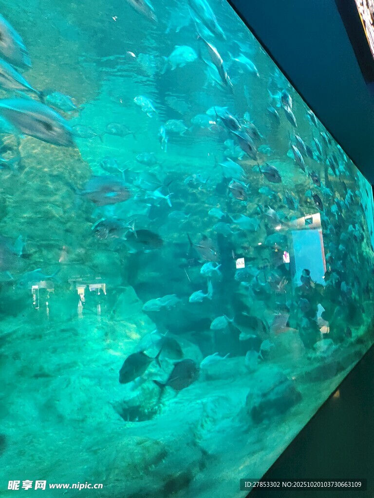 梦幻海底世界景观