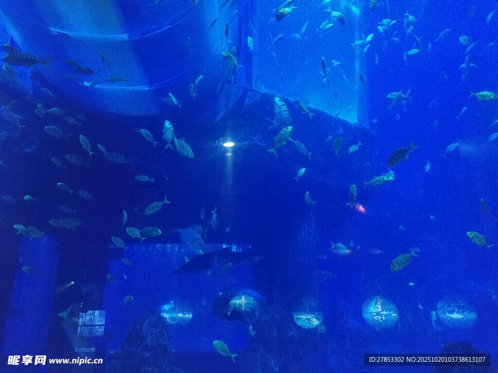 梦幻海底世界景观