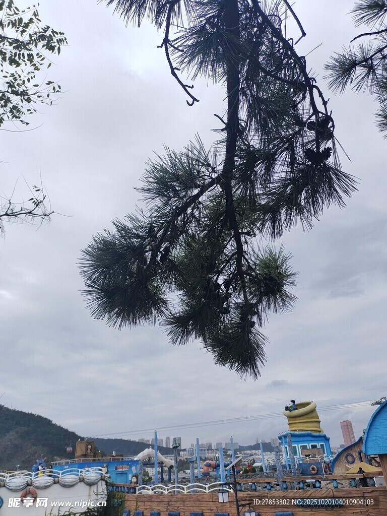 松枝下的多彩建筑景观