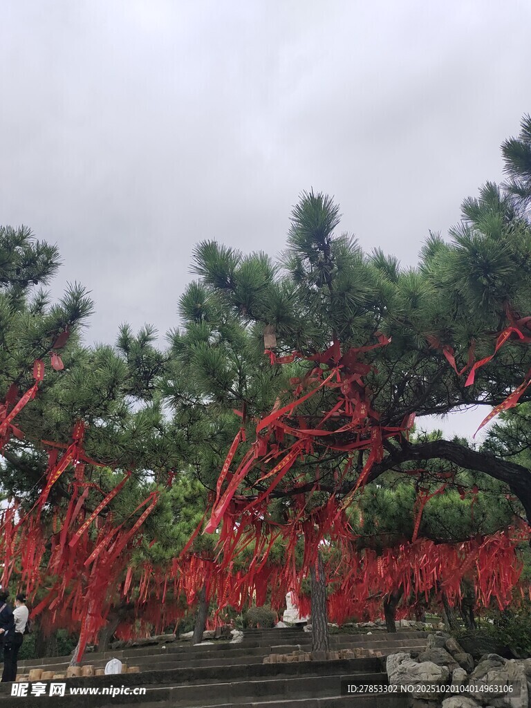红枝装点的山林景致