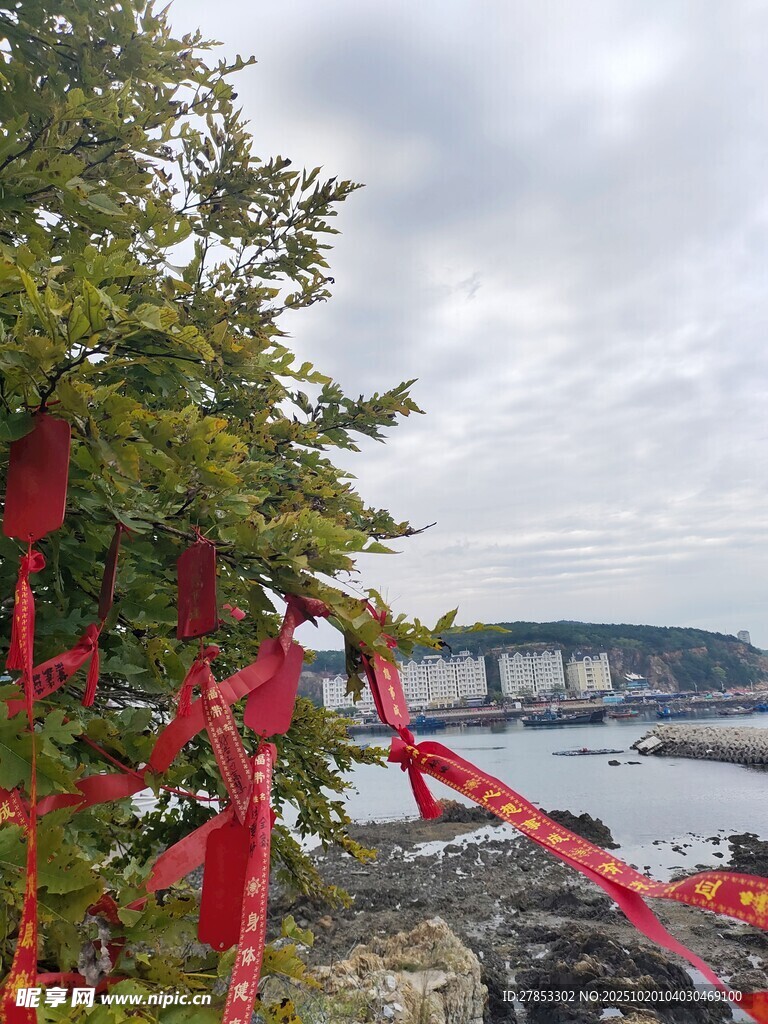 岸边绿树系满祈福红绸
