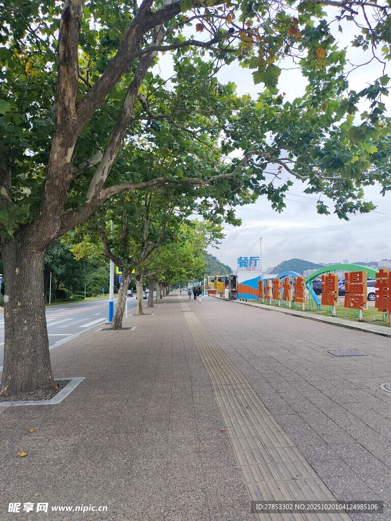 林荫下的城市休闲步道