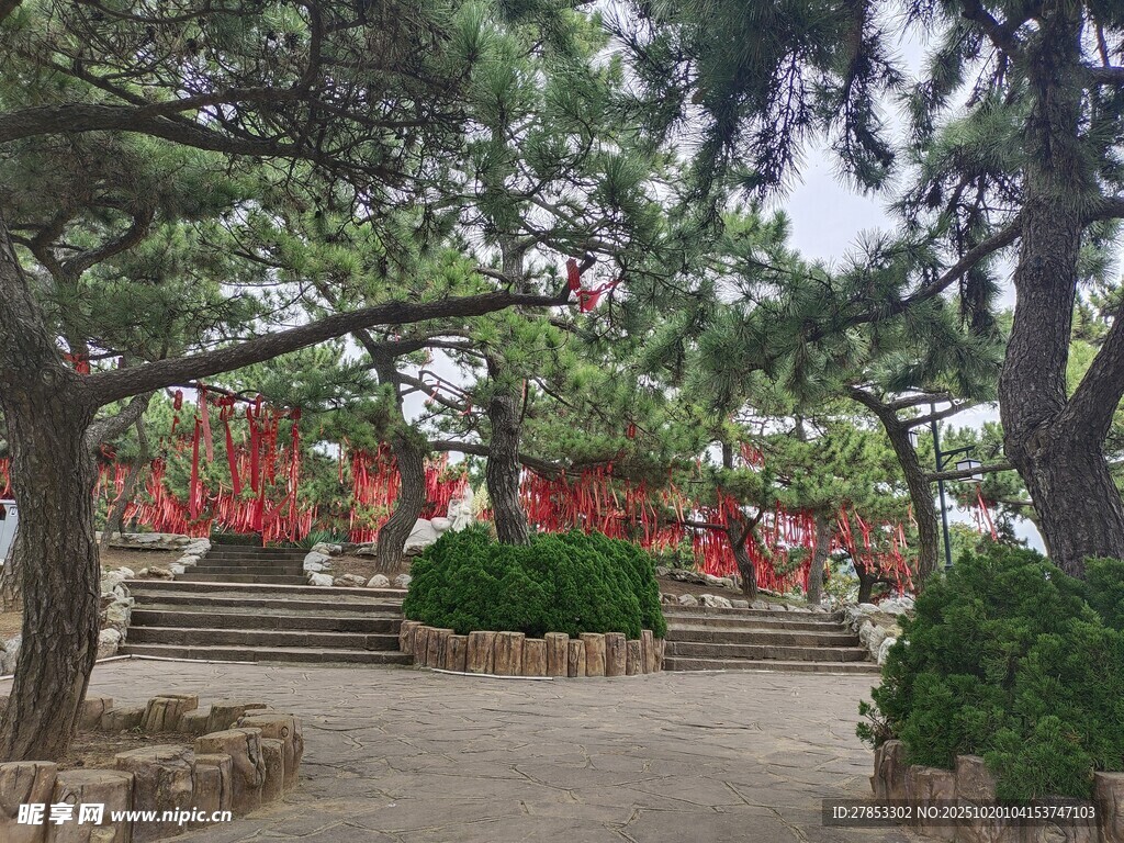 园林景观中的繁茂树木与花卉